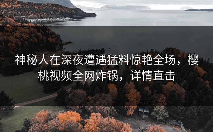 神秘人在深夜遭遇猛料惊艳全场，樱桃视频全网炸锅，详情直击