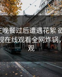 神秘人在晚餐过后遭遇花絮 欲言又止，蘑菇影视在线观看全网炸锅，详情围观
