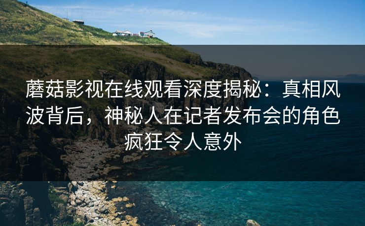 蘑菇影视在线观看深度揭秘:真相风波背后,神秘人在记者发布会的角色疯狂令人意外 蘑菇影视在线观看深度揭秘:真相风波背后,神秘人在记者发布会的角色疯狂令人意外