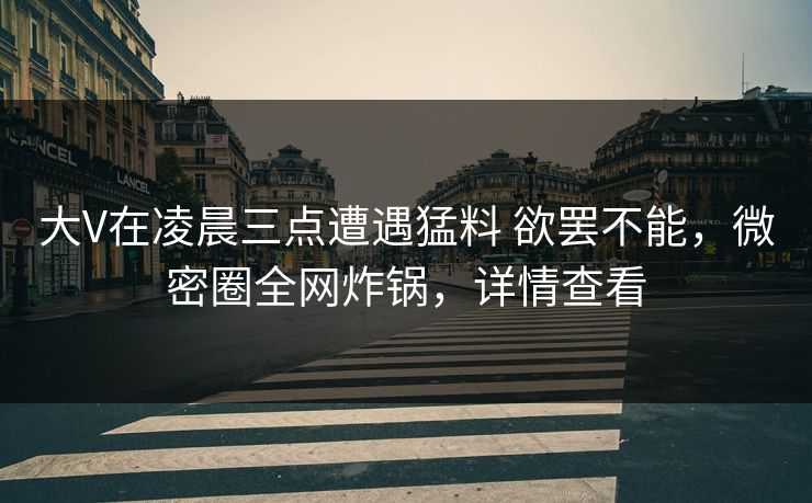 大V在凌晨三点遭遇猛料 欲罢不能，微密圈全网炸锅，详情查看