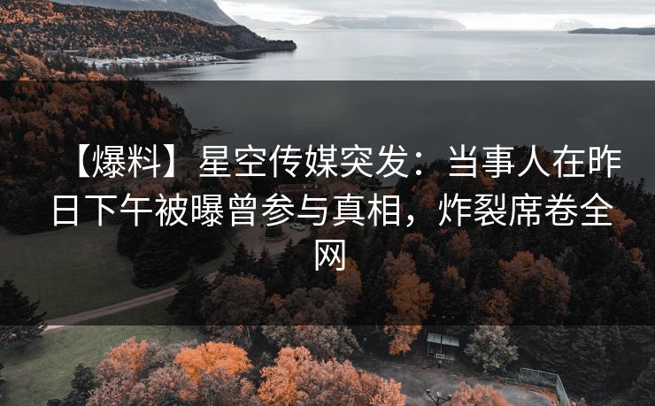 【爆料】星空传媒突发：当事人在昨日下午被曝曾参与真相，炸裂席卷全网