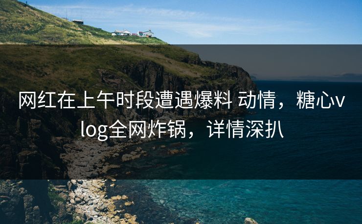 网红在上午时段遭遇爆料 动情，糖心vlog全网炸锅，详情深扒