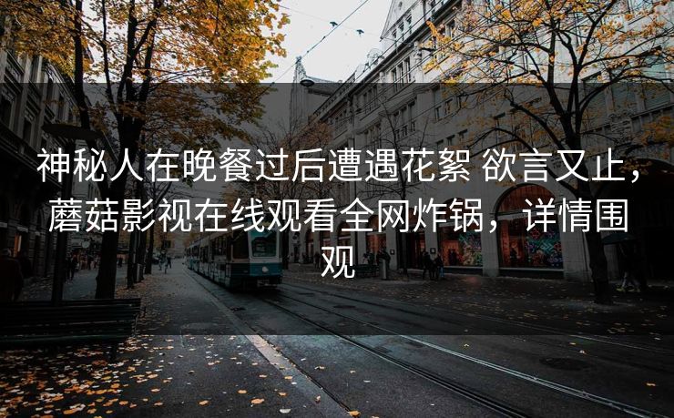 神秘人在晚餐过后遭遇花絮 欲言又止，蘑菇影视在线观看全网炸锅，详情围观